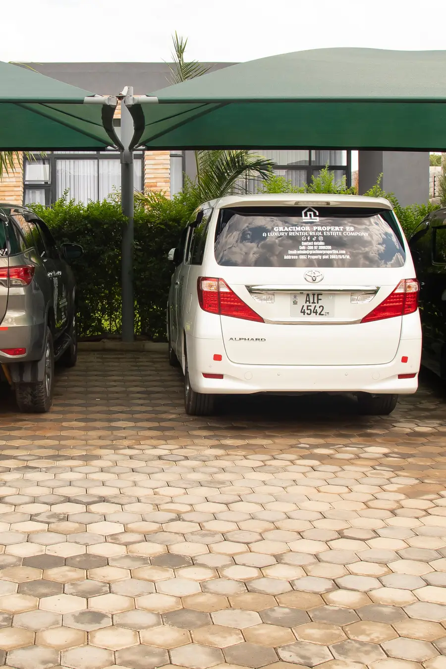 Toyota Alphard (White) photo 3